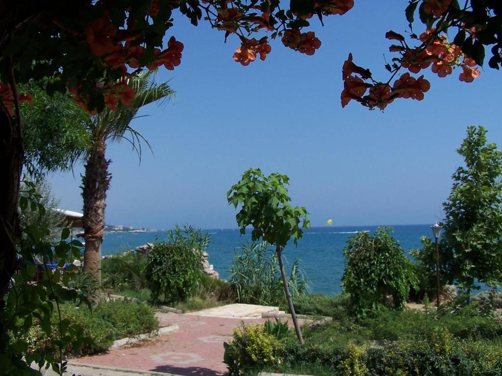 Guven Hotel Alanya Exteriér fotografie