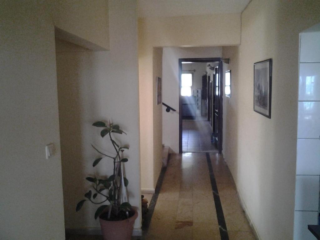 Guven Hotel Alanya Exteriér fotografie